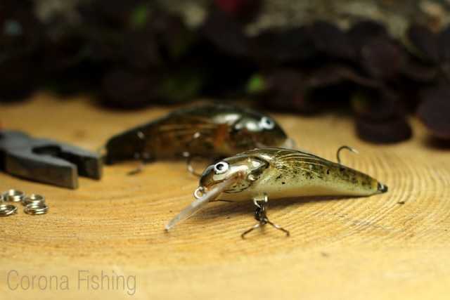 wobler pstrągowy - głowacz